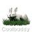 Animated contact sheet of a white rabbit mascot on green grass with "Coolbuddy" text below each frame, displayed in 3x3 grid layout.