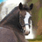 A pixelated horse image with blue background and three text phrases reading 'I Love Allie!!', 'I Love Sonny!!', and 'I Love Bean!!' in green pixelated font.