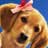 Pixelated close-up of a dog's face with brown fur, dark eyes, and a pink bow on its head against a blue background.