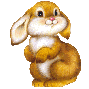 Animated brown rabbit with white chest and inner ears, pink nose, black eyes, sitting upright with paws clasped, then shifting to a waving pose.
