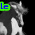 A four- of horse images with overlaid text labels, each showing a different horse in various settings