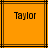 Two identical orange squares with black lines contain the word "Taylor" in pixelated black text