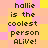 Pixelated text reads 'hallie is the coolest person ALive!' on a of pink, yellow, and orange squares