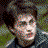Three pixelated character portraits above text blocks reading 'Harry Potter' and 'it's what we live for', with a static layout.