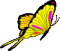 Yellow butterfly with pink stripes and black outlines in four sequential poses against a gray background.