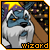 Pixelated cartoon dog with blue face and white fur wears purple wizard hat, stands before bookshelf background with 'wizard' text below.