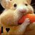 A four- shows a hamster holding a carrot, with text changing