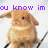 Pixelated image of a light brown rabbit-like creature with large ears, dark eyes, and visible whiskers against a white background.