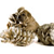 Pixelated brown and black animal with dark eyes and nose, lying on a white background, appearing to be a dog or similar mammal.