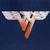 Pixelated bird head with wide eyes and open beak against dark blue background, wings spread horizontally.