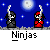 Animated pixel art sequence showing ninjas in various poses against starry and red backgrounds with text labels.