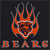 Pixelated static icon featuring a stylized orange and red flame-like shape with dark blue accents, positioned above the word "BEARS" in blocky letters on a black background.