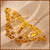 Animals icons for AIM, MSN, MySpace and Yahoo