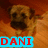 A pixelated dog with a brown coat and dark muzzle sits on an orange surface, its head slightly tilted.