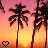 Animated sunset scene with palm trees and changing heart symbols in the foreground.