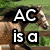 A horse in a grassy field with text overlays reading "AC is a horse lover" across four