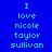 Blue background with cyan pixelated text reading "I love nicole taylor sullivan" arranged in three vertical