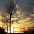 A pixelated static image shows a dark tree silhouette against a gradient sky transitioning from dark gray to golden yellow, with a bright white light source at the base of the tree.