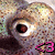 A pixelated close-up of a creature's eye with text and symbols overlaid, showing animation changes between frames.