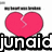 A pink heart with a white crack, partially obscured by black text reading 'junaic' and grayed-out text above it.
