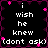 Black background with white text reading "i wish he knew (dont ask)" surrounded by pink and purple pixelated border elements.