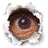 Animated contact sheet showing three frames of a cartoon eye icon with pixelated edges and torn paper effect background.