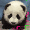 Animated sequence of a panda's face with changing mouth expressions and colored square overlays on a blue background.