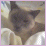 Pixelated animal images on a lavender background with repeated text and heart symbols.
