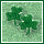 Green pixelated three-leaf clover on light green background with subtle texture.