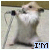 A 4-frame animated contact sheet showing a hamster-like animal holding a microphone with changing text overlays across frames.