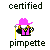 Pixel art icon shows a character with pink hat and coat holding yellow staff, text 'certified' above and 'pimpette' below on gray background.
