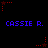 Blue text 'CASSIE R.' repeated three times on black background with red star-shaped pixel art elements in corners and midpoints.