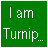 Green and gray pixelated image with text above a cartoonish character's face