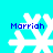 Four white snowflake icons with blue text "Marriah" on a cyan background, each with distinct pixelated snowflake designs.