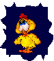 Animated yellow chick with red comb and blue eyes, standing on orange feet against dark blue background, showing multiple expressions including neutral, surprised, and close-up views.