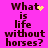 A pink background displays four identical text blocks reading "What is life without horses?" with varying pixelated yellow symbols above the word What.