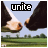 iconhell_napoleonfan1_zzzzzzunite