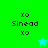 Green and cyan pixelated with 'xo Sinead xo' text, two star icons in bottom-right corners of green sections