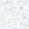 Static image of a light gray marble pattern with irregular dark gray veining across the entire frame.