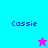 Four quadrant with cyan, purple, pink, and light blue backgrounds; each contains 'Cassie' text and a star icon that alternates between pink and cyan