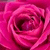 A static pixelated image of a pink rose with layered petals, rendered in a low-resolution style with varying shades of magenta and crimson.