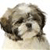 Pixelated grayscale image of a dog's head with dark brown fur on top and lighter fur on the face, viewed from a side angle against a plain white background.