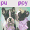 Animated contact sheet of a dog icon with changing text and accessories across 8 frames, showing variations in background color, bow placement, and text labels.