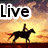 Four distinct horse-themed images arranged in a with text elements, each showing different styles and backgrounds