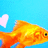 Pixelated goldfish swims left to right against blue background with white heart; purple displays 'Gabrielle' in pixel font