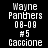 Pixelated text displays 'Wayne Panthers 08-09 #5 Caccione' across four color backgrounds: black, olive green, yellow, and dark olive green.