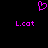 Pixelated pink heart symbol above two instances of 'L.cat' text on a black background.