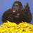 A pixelated gorilla stands atop a pile of bananas against a blue background, with red text reading "BANANAS" on the right.