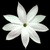Static pixelated flower with eight white petals and a small green center on black background.