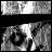 A grayscale animated icon featuring a stylized face with large circular eyes and a small mouth, accompanied by changing text elements.